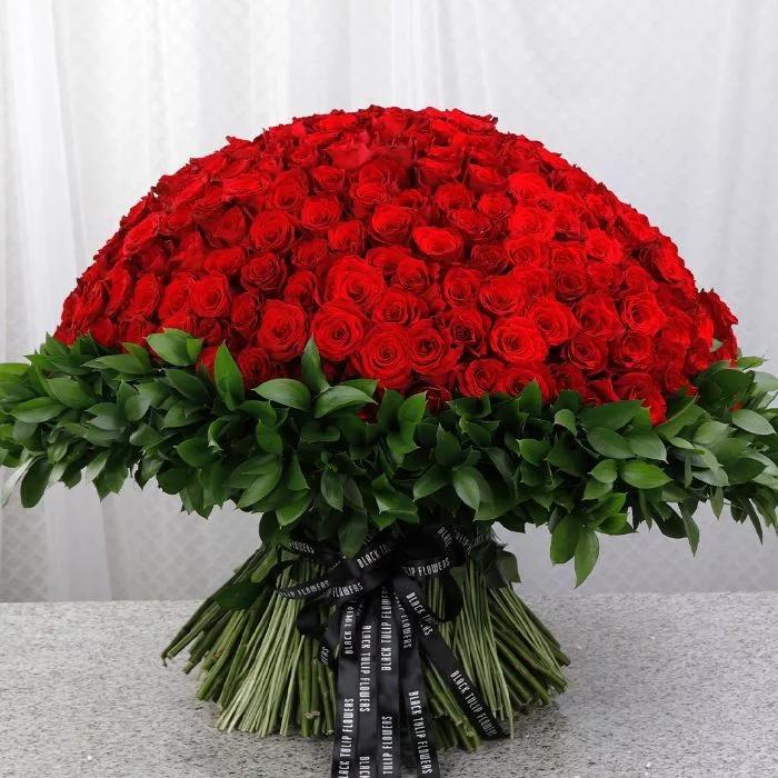 500-Red-Roses-for-Valentines.webp