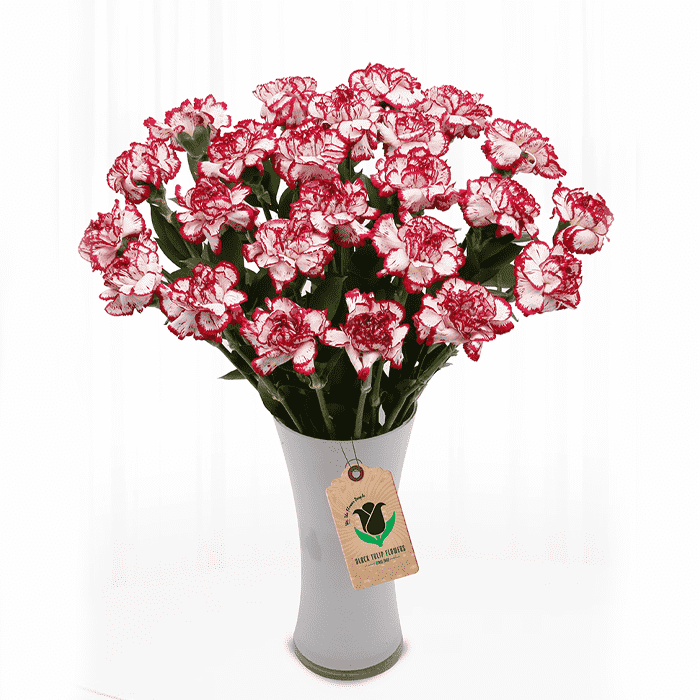 Bunches-of-Sexy-Red-Carnation.png