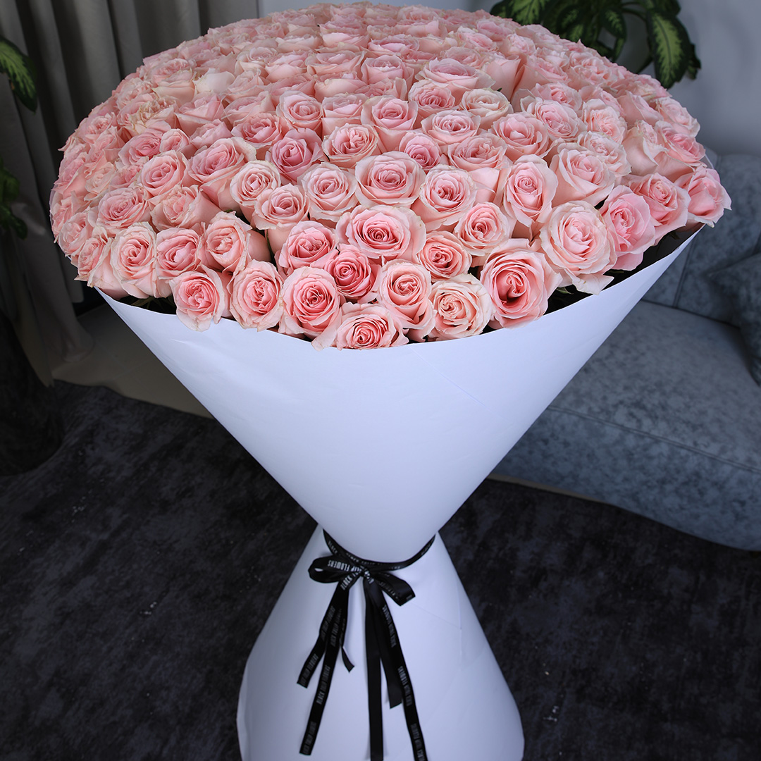 Graceful Roses