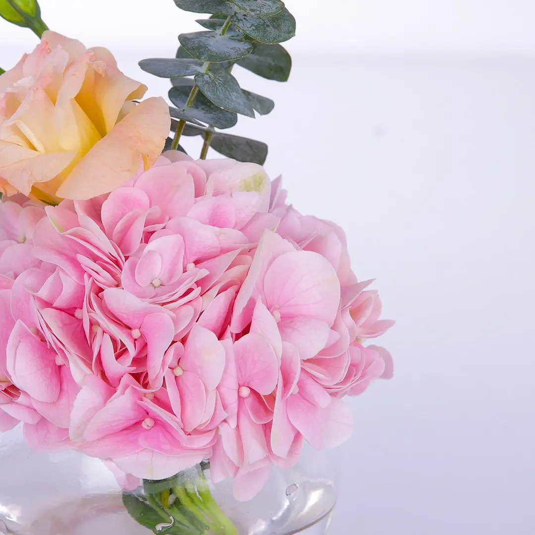 Pink Hydrangea Centerpiece