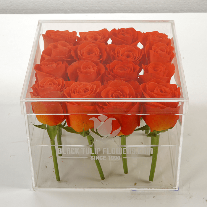 Spritz-Rose-in-an-Acrylic-Box-1.png