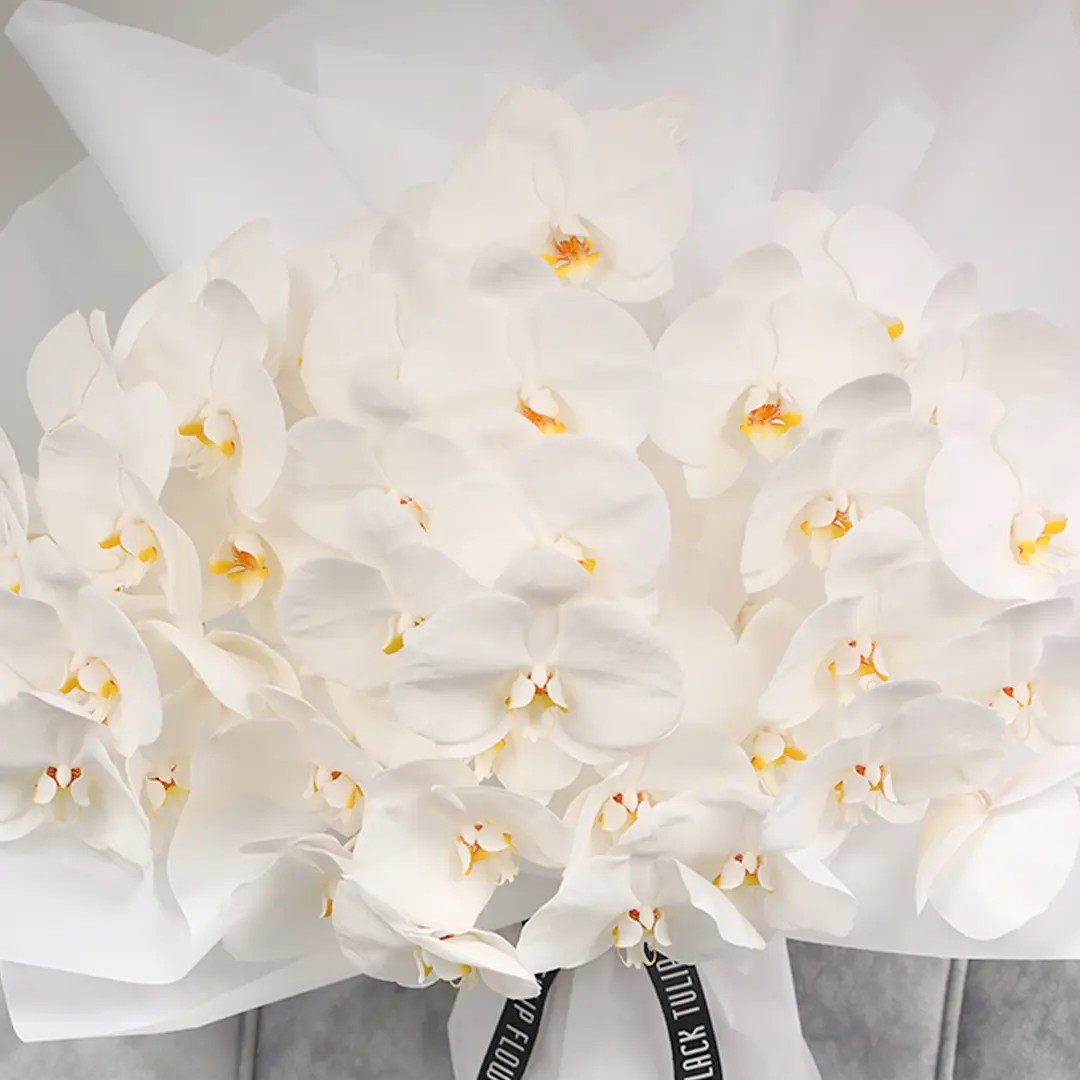 White-Phalaenopsis-Bouquet.jpg