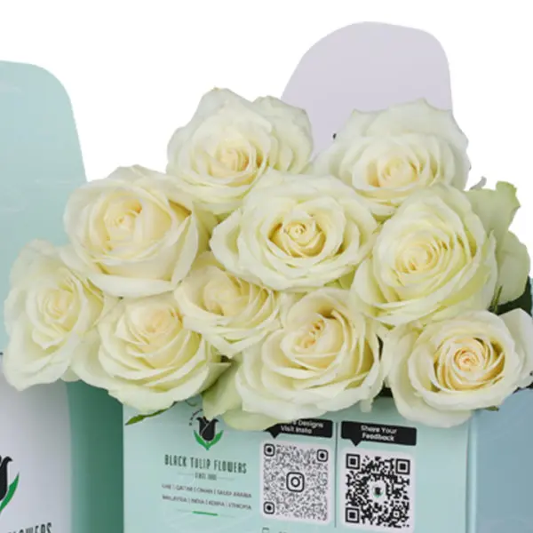 White Roses in Green Box