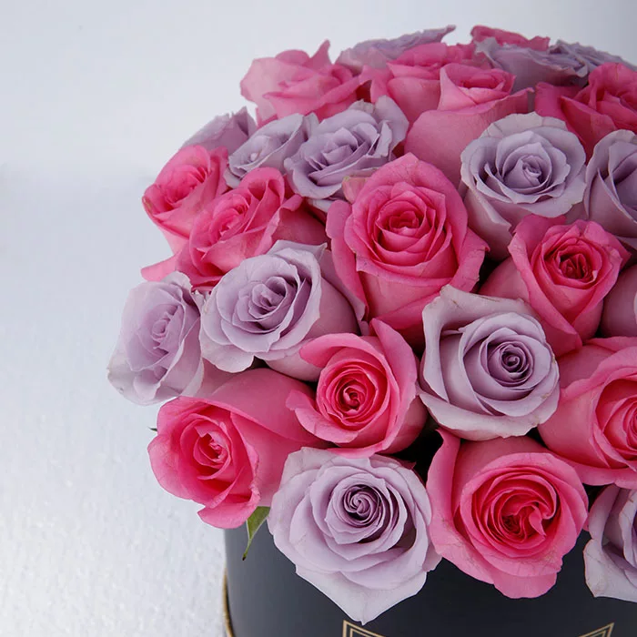 Pretty Pink and Purple Rose Box